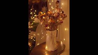 12351020M LED Fairy Lights Battery Powered Copper Wire String Lights Bedroom Garden Party Weddi [upl. by Beyer]