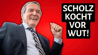 Eilmeldung Auch Schröder demütigt Scholz [upl. by Lark767]