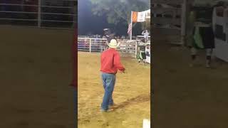 Pike County Fair Bull Ride 500 Hundred Dollar Bounty Bull Buck Off [upl. by Lussi]