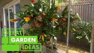 How to Create a Hanging Bromeliad Display  GARDEN  Great Home Ideas [upl. by Corilla919]