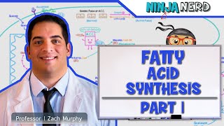 Metabolism  Fatty Acid Synthesis Part 1 [upl. by Obau]