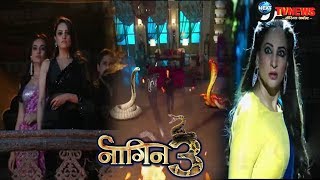 NAAGIN 32nd FEBRUARY 2019  Colors TV Serial  70th Episode  Full Story Details REVEALED [upl. by Jemma162]