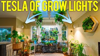 THESE Are The Best Grow Lights for Indoor Plants Made in America [upl. by Emmey]