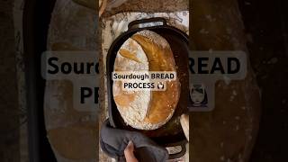 I Love SOURDOUGH BREAD  PROCESS  Healthier then Store Bought sourdough sourdoughbread bread [upl. by Courtund117]