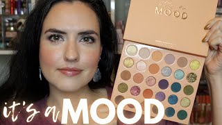 NEW ColourPop ITS A MOOD Mega Palette  Swatches Comparisons Tutorial  Review [upl. by Ahsirek809]