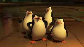 Penguins of Madagascar  Skipper forgets Daves name supercut [upl. by Mehcanem]