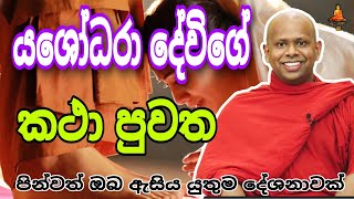 යශෝධරා දේවියගේ කථා පුවත welimada saddaseela therutrending buddha [upl. by Drugi]