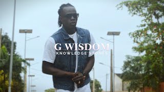 G Wisdom KnowledgeStones  Freestyle 30 Visualizer [upl. by Jelena]