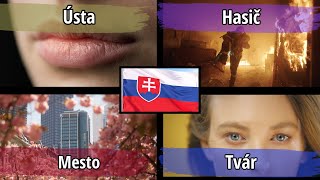 400 Slovak Words for Everyday Life  Basic Slovak Vocabulary for Beginners [upl. by Cirilo]