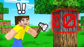 I BEAT Minecraft WITHOUT Wood [upl. by Mylor240]