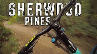 Sherwood Pines Mtb Red RouteJumps and Downhill Trails [upl. by Ariat188]