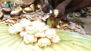 TAATI MUNJALU  Borassus flabellifer  Palmyra Palm Tree Fruit  4K VIDEO street food [upl. by Yetty]