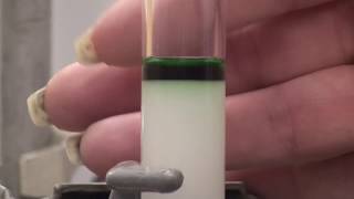 Column chromatography [upl. by Kissie672]