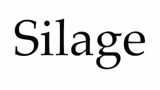 How to Pronounce Silage [upl. by Teleya718]