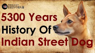 The Ancient History of Indian Pariah Dog [upl. by Aerdnaed576]