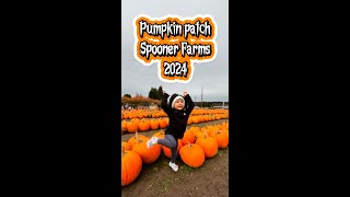 Emma’s First Pumpkin Patch Visit at Spooner Farms  Puyallup  WA 2024 [upl. by Warms954]