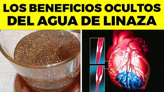 INCREIBLES BENEFICIOS de TOMAR Agua de LINAZA para tu cuerpo esto ocurre cuando tomas linaza [upl. by Yldarb]