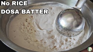 1 ingredient amp unbelievable Fermented Dosa batter without Rice  Millet Dosa recipe Sattvik kitchen [upl. by Oinesra]