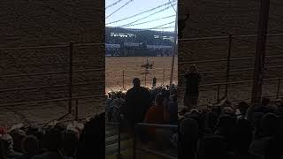 Bucking horse at Angola Rodeo [upl. by Attelocin668]