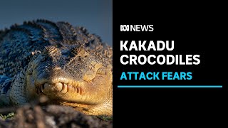 Fears a croc attack is a matter of time in Kakadu National Park  ABC News [upl. by Nelyt]