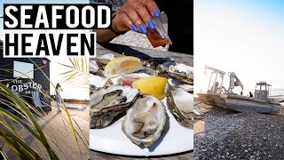 Car Camping at Whitstable Beach Front Kent  Lobster Shack [upl. by Im]