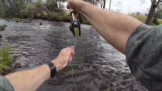 Murray River Trout Fishing from Tom Groggin Campsite  5 February 2024  Day 3 [upl. by Maurilla]