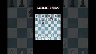 Гамбит Греко итальянская партия шахматы chess chessgame italy shorts [upl. by Voltz685]