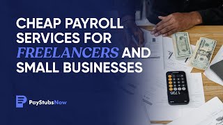 Cheap Payroll Services for Freelancers and Small Businesses  Pay Stubs Now [upl. by Annalee]