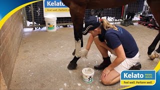 How To Apply a Poultice [upl. by Recnal]