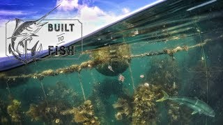 Built to Fish Ep 04 The Coromandel Mussel Farms [upl. by Aciamaj]