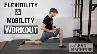 Flexibility and Mobility Workout 20 min [upl. by Savitt]