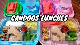 KIDS LUNCH IDEAS 1st 4th 8th The Candoos [upl. by Oalsinatse]