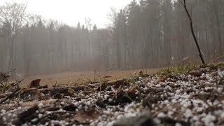 Hailstorm Haven Quick Stress Relief in Under 60 Seconds [upl. by Ayikin722]