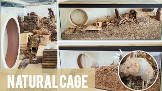 Setting Up a Naturalistic Aquarium Style HAMSTER Cage  New Cage Tour 🐹🌿 [upl. by Nohshan]