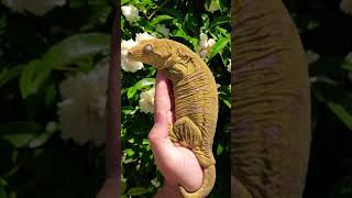 LEACHIE🦎😱🤯 GIANT GECKO [upl. by Normi]