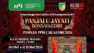 PAMERAN DAN KONTES BONSAI KEDIRI NASIONAL 2024  KEDIRI  JAWATIMUR  INDONESIA [upl. by Ecadnarb883]