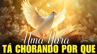 60 minutos De Louvor Tá Chorando Por Que  Salmos 43 Louvores que Inspiram Fé e Força para a Vida [upl. by Ahsielat678]