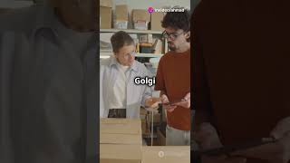 Golgi Apparatus Know About It [upl. by Comfort32]