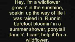 The JaneDear Girls Wildflower lyrics [upl. by Odraboel]