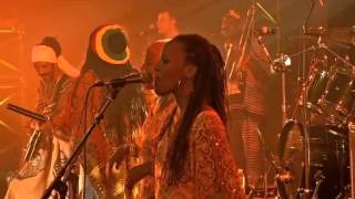 Tiken Jah Fakoly  Live in Paris 2008 [upl. by Noedig]