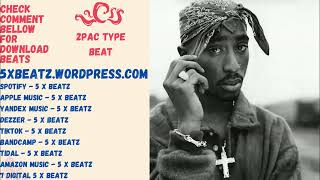 2Pac  Boom Bap  Type Beat  Harlem  2024 [upl. by Eaj]