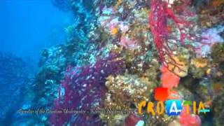 Beauties of the Croatian Underwater  Kornati National Park [upl. by Drummond]