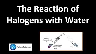 The Reaction of Halogens with Water  Periodic Table [upl. by Marcello]