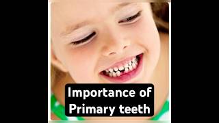 Primary teeth Milk teeth are important dentistry neetmdspreparation pediatricdentistry dental [upl. by Seton893]