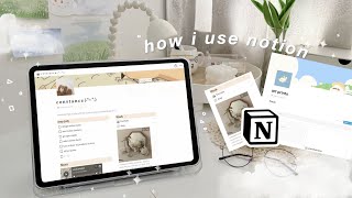 how i use notion 📕如何使用notion  free template [upl. by Erna568]