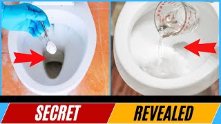 How to Clean A Toilet With Vinegar and Baking Soda  This is Amazing [upl. by Vasily852]