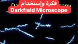 فكرة واستخدام ميكروسكوب DarkField Microscopy [upl. by Garrik406]