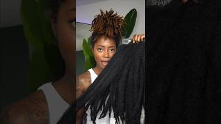 Marley Twists over my Microlocs 😍 [upl. by Davison139]