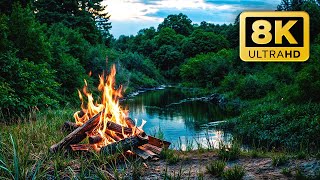 Cozy Campfire by the River Ambience — Crackling Fire amp Cricket Sounds [upl. by Adao]