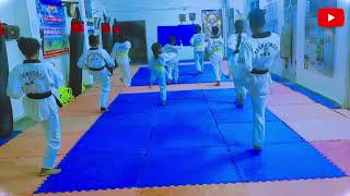 poomsae 2 taekwondo 2024  पूसाए २ ताइक्वांडो २०२४ [upl. by Lauretta]